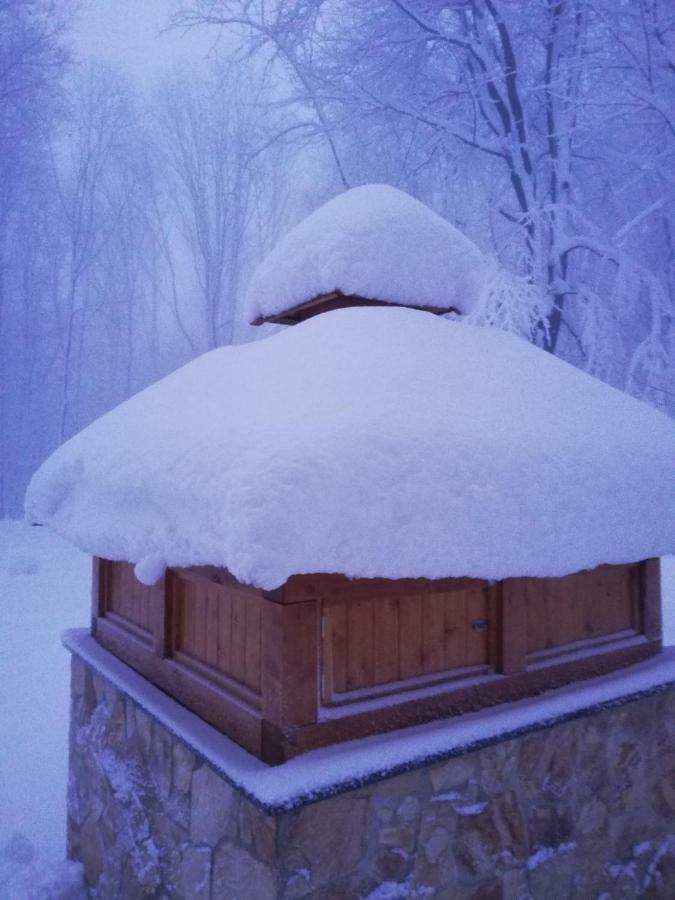 Chata Korenny Vrch Pezinska Baba Pezinok Exterior photo